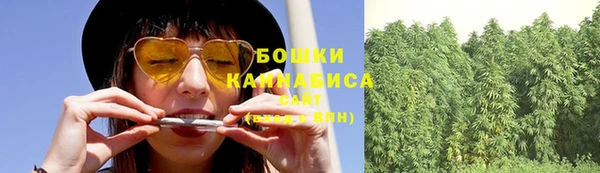шишки Армянск