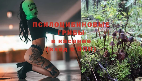 прущий лед Аркадак