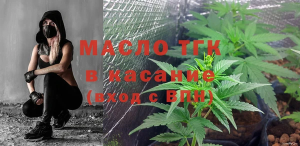гидропоника Пересвет