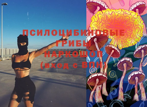 прущий лед Аркадак