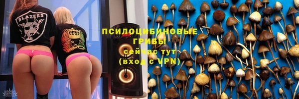 шишки Армянск