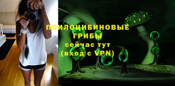 прущий лед Аркадак